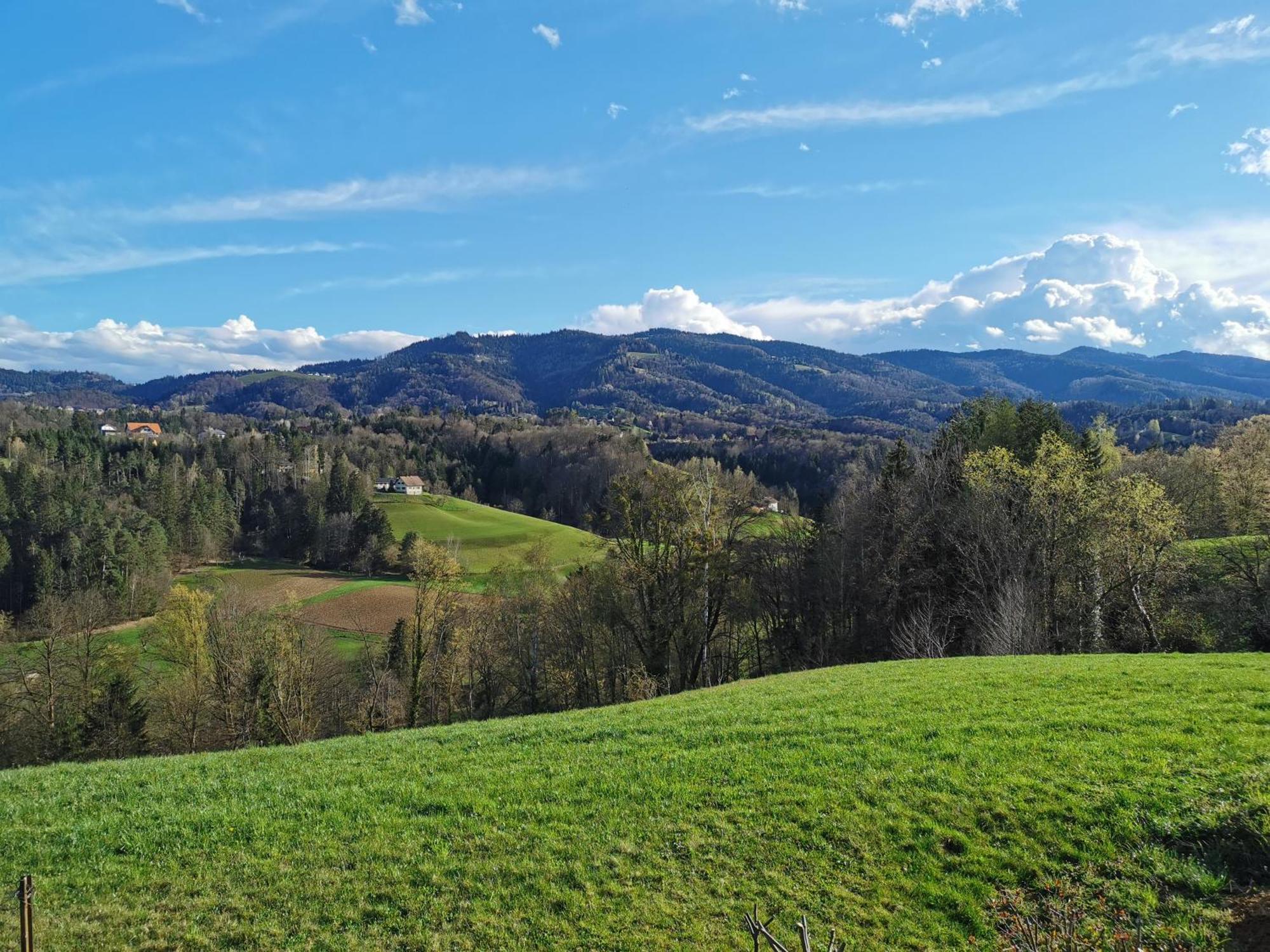 Traumhaftes Ferienhaus Am Lateinberg - 8455 Eibiswald Suedsteiermark מראה חיצוני תמונה